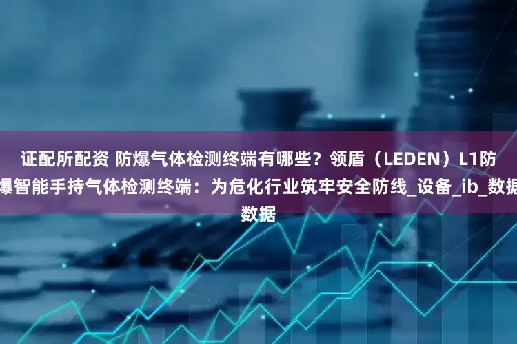 证配所配资 防爆气体检测终端有哪些？领盾（LEDEN）L1防爆智能手持气体检测终端：为危化行业筑牢安全防线_设备_ib_数据