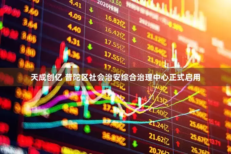 天成创亿 普陀区社会治安综合治理中心正式启用