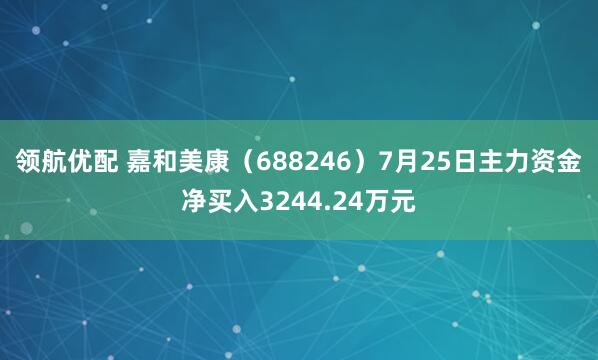 领航优配 嘉和美康（688246）7月25日主力资金净买入3244.24万元