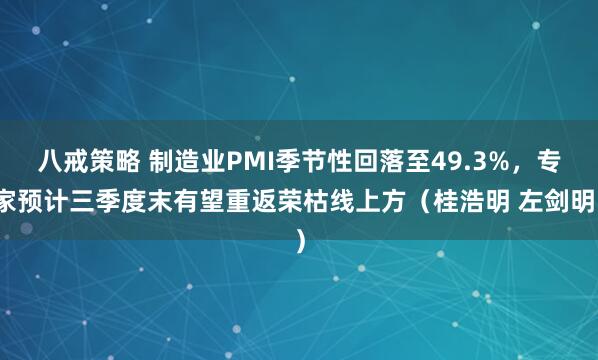 八戒策略 制造业PMI季节性回落至49.3%，专家预计三季度末有望重返荣枯线上方（桂浩明 左剑明）