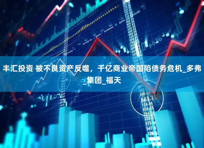丰汇投资 被不良资产反噬，千亿商业帝国陷债务危机_多弗_集团_福天
