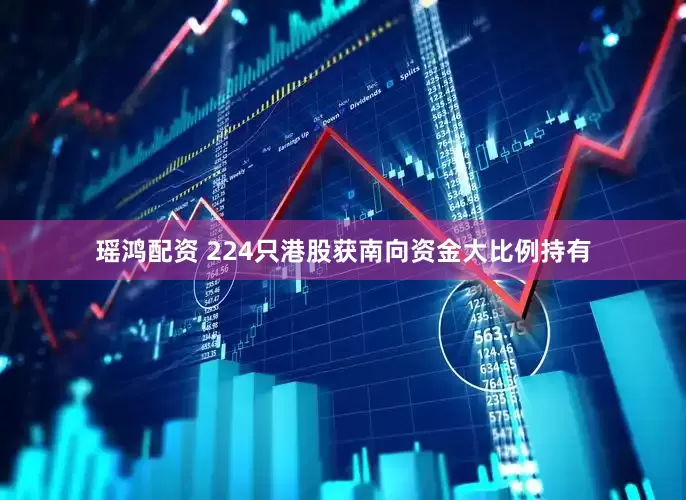 瑶鸿配资 224只港股获南向资金大比例持有
