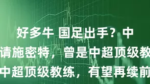 好多牛 国足出手？中国球队邀请施密特，曾是中超顶级教练，有望再续前缘