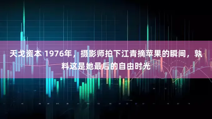 天戈资本 1976年，摄影师拍下江青摘苹果的瞬间，孰料这是她最后的自由时光