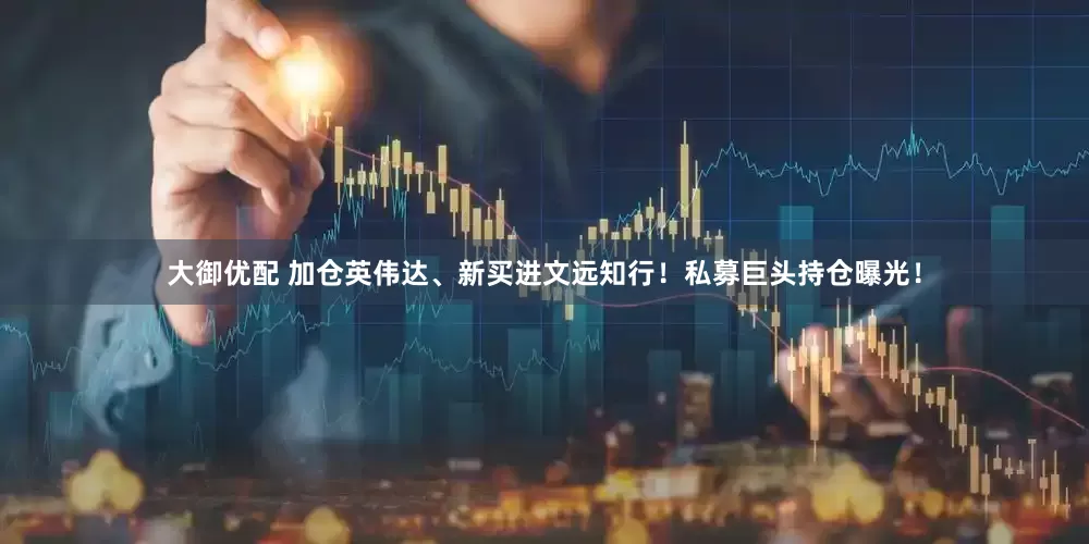 大御优配 加仓英伟达、新买进文远知行！私募巨头持仓曝光！